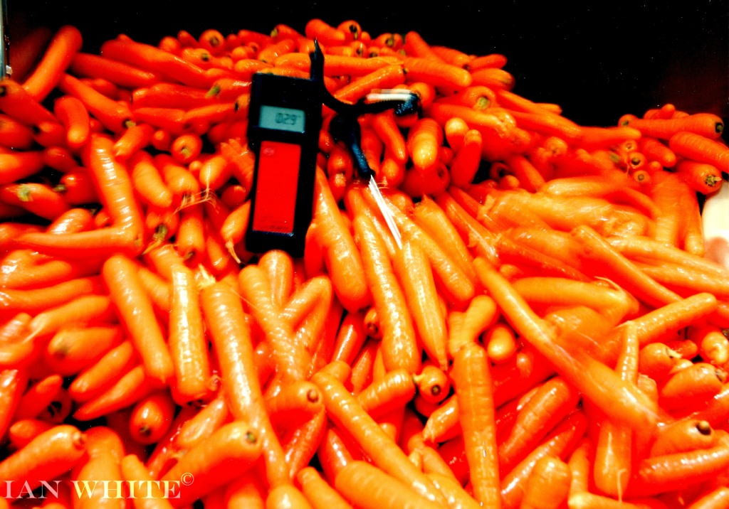 Carot_hydrocooler_with_temperature_probe.compressed