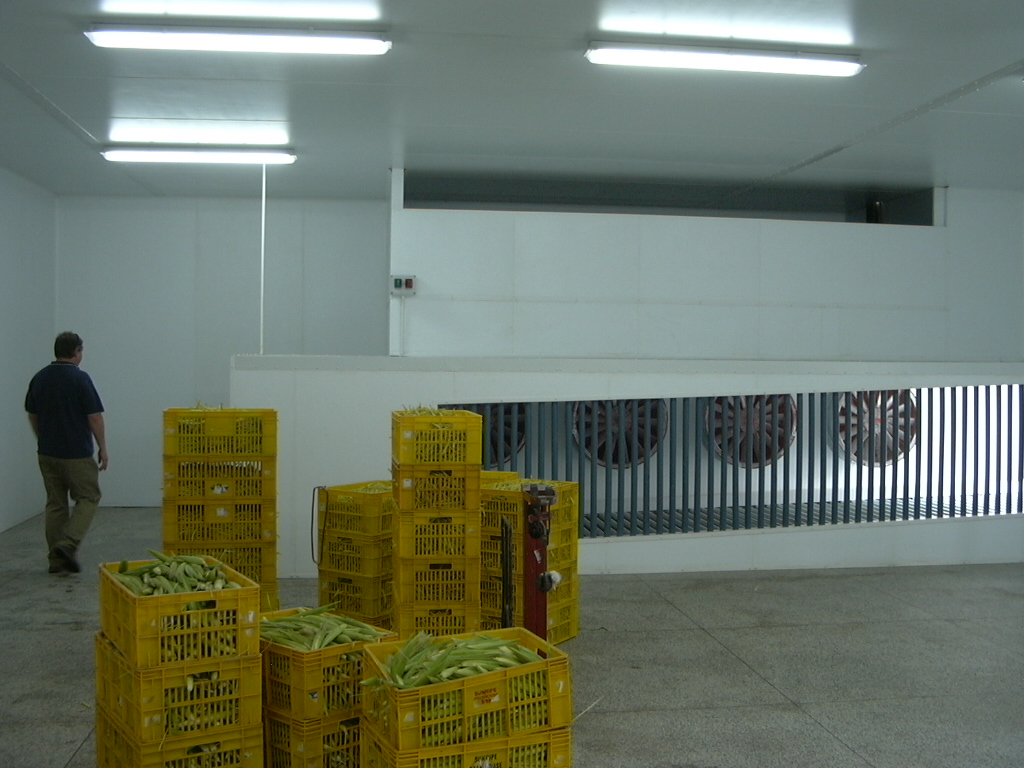 East_African_Growers_-_08_-_Intake_CTC